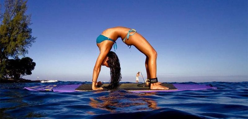 Mehr über den Artikel erfahren Praesent libro se cursus ante